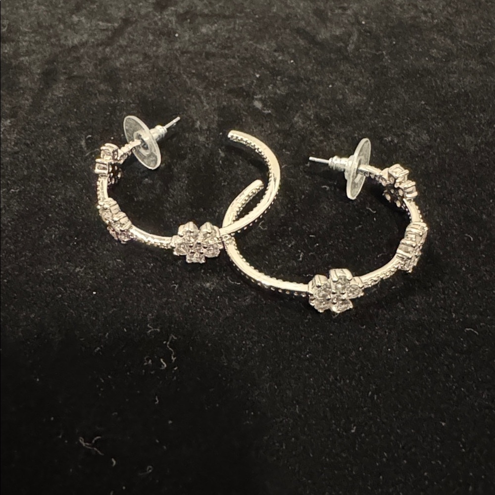 Elegant Silver Hoop Earrings